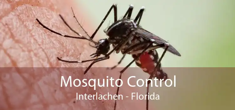 Mosquito Control Interlachen - Florida