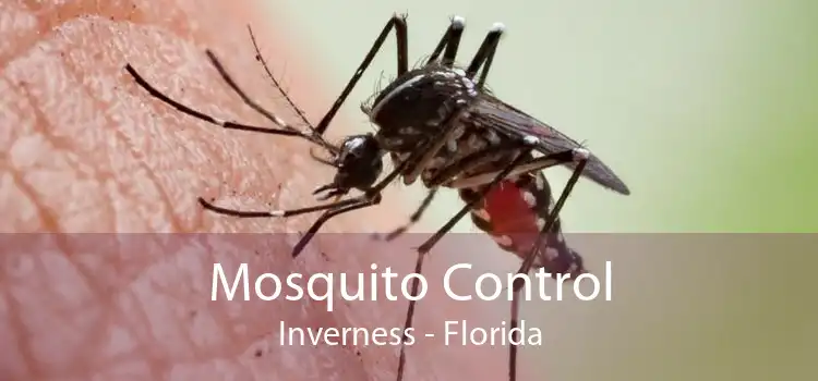 Mosquito Control Inverness - Florida