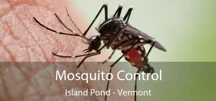 Mosquito Control Island Pond - Vermont