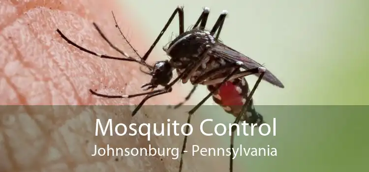 Mosquito Control Johnsonburg - Pennsylvania