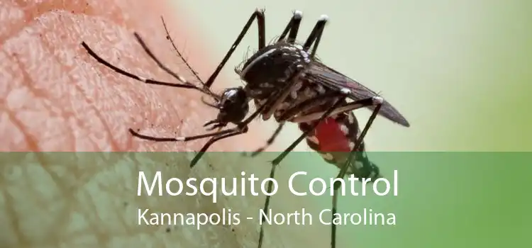 Mosquito Control Kannapolis - North Carolina