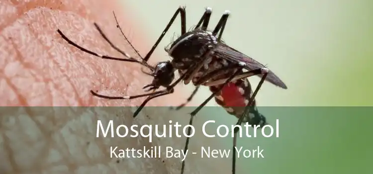 Mosquito Control Kattskill Bay - New York