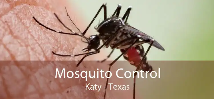 Mosquito Control Katy - Texas