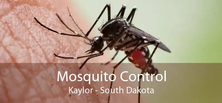 Mosquito Control Kaylor - South Dakota