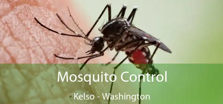 Mosquito Control Kelso - Washington