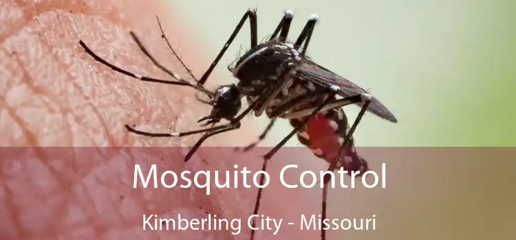 Mosquito Control Kimberling City - Missouri