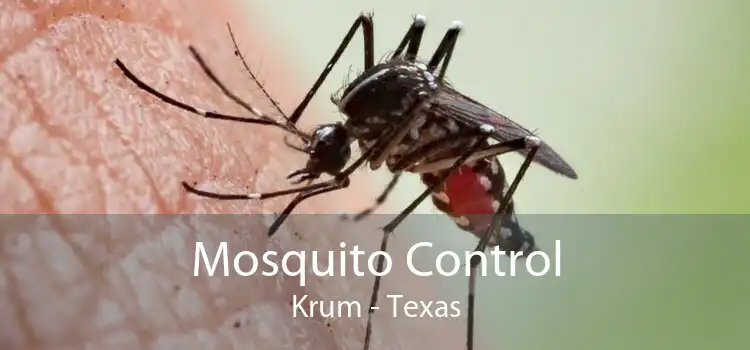 Mosquito Control Krum - Texas