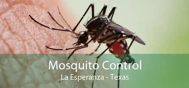 Mosquito Control La Esperanza - Texas