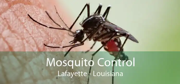 Mosquito Control Lafayette - Louisiana
