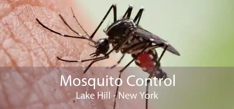 Mosquito Control Lake Hill - New York