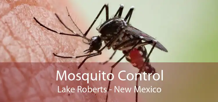 Mosquito Control Lake Roberts - New Mexico