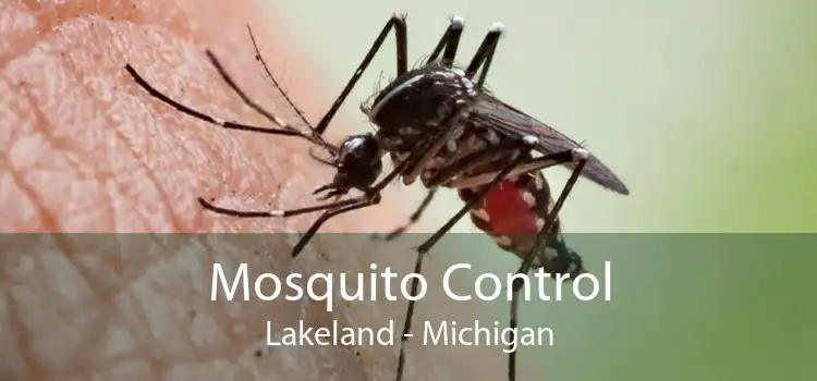 Mosquito Control Lakeland - Michigan