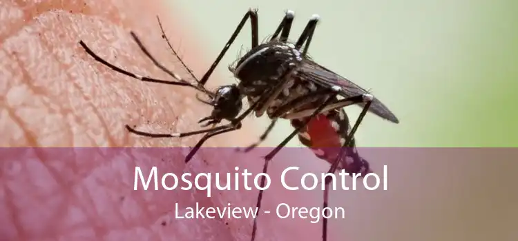 Mosquito Control Lakeview - Oregon