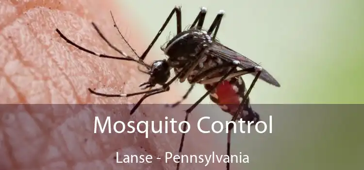 Mosquito Control Lanse - Pennsylvania