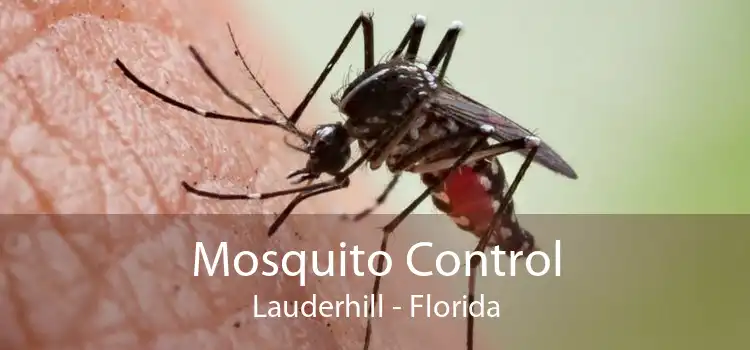 Mosquito Control Lauderhill - Florida