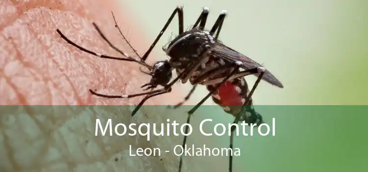 Mosquito Control Leon - Oklahoma