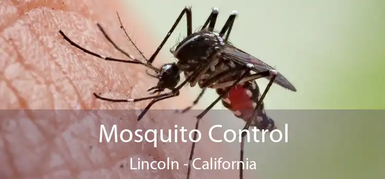 Mosquito Control Lincoln - California