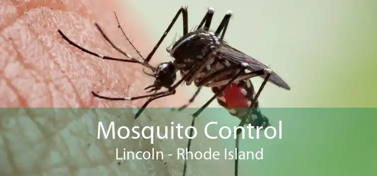 Mosquito Control Lincoln - Rhode Island