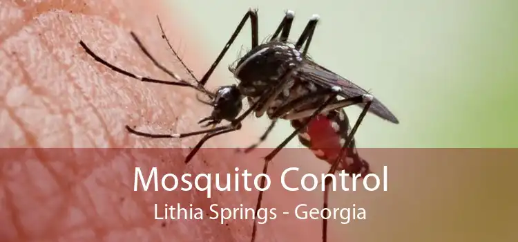 Mosquito Control Lithia Springs - Georgia