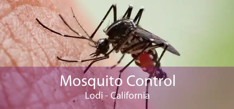 Mosquito Control Lodi - California