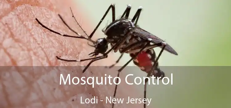 Mosquito Control Lodi - New Jersey