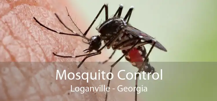 Mosquito Control Loganville - Georgia