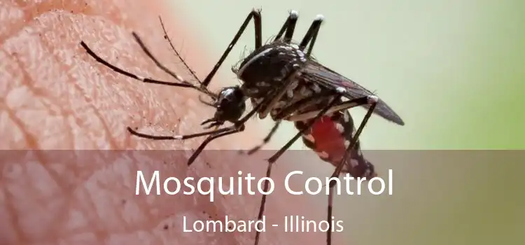 Mosquito Control Lombard - Illinois