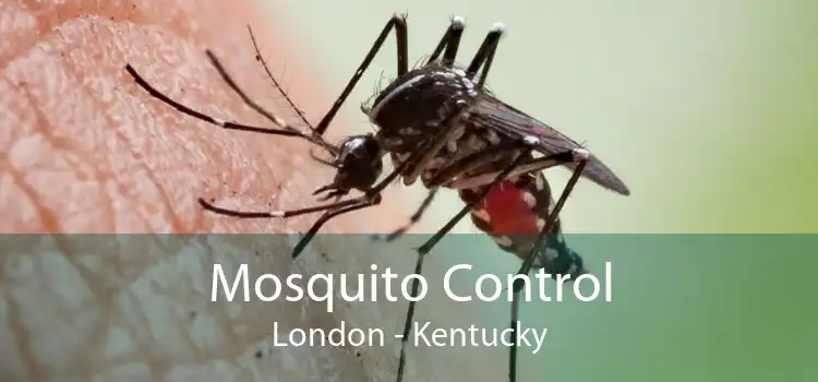 Mosquito Control London - Kentucky