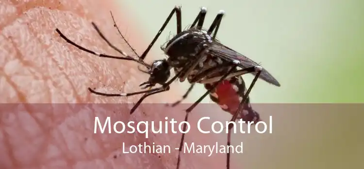Mosquito Control Lothian - Maryland