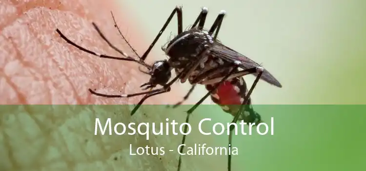 Mosquito Control Lotus - California