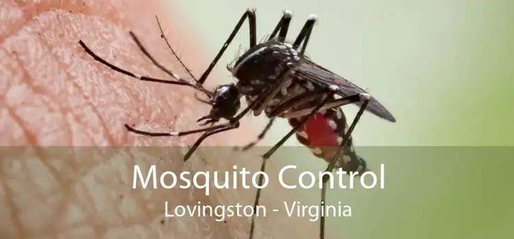 Mosquito Control Lovingston - Virginia