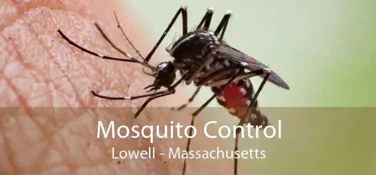 Mosquito Control Lowell - Massachusetts