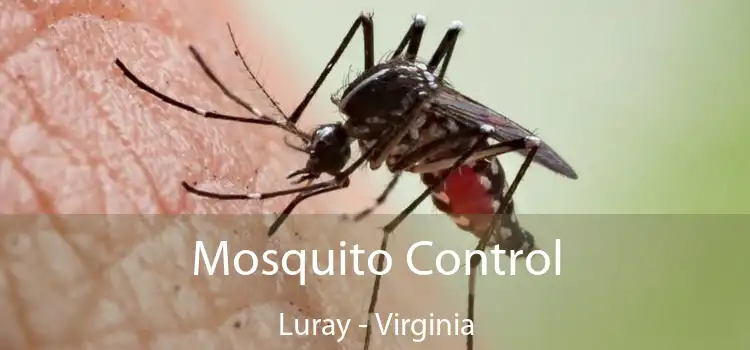 Mosquito Control Luray - Virginia