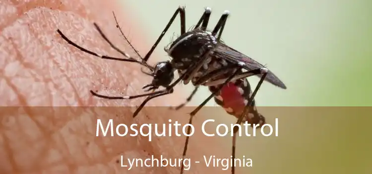 Mosquito Control Lynchburg - Virginia