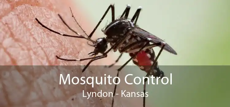 Mosquito Control Lyndon - Kansas