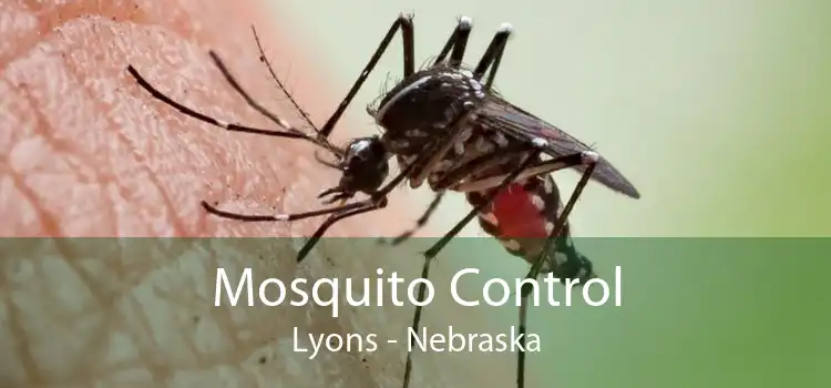 Mosquito Control Lyons - Nebraska
