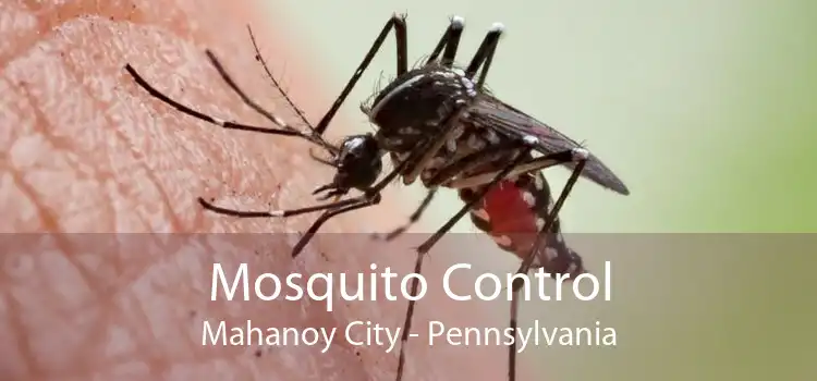 Mosquito Control Mahanoy City - Pennsylvania