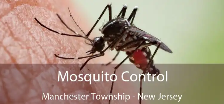 Mosquito Control Manchester Township - New Jersey