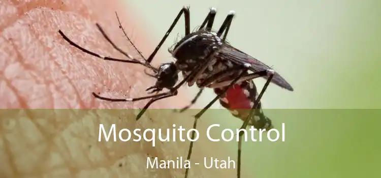 Mosquito Control Manila - Utah