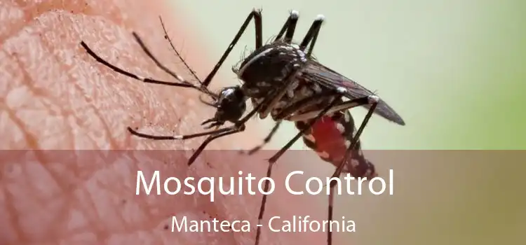 Mosquito Control Manteca - California