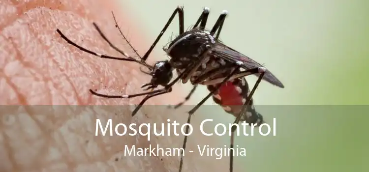 Mosquito Control Markham - Virginia