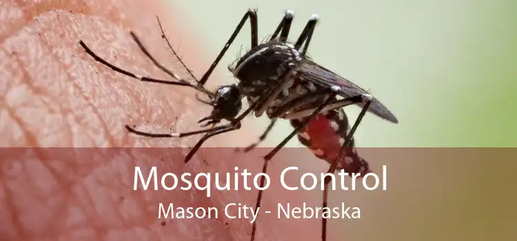 Mosquito Control Mason City - Nebraska