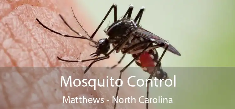 Mosquito Control Matthews - North Carolina