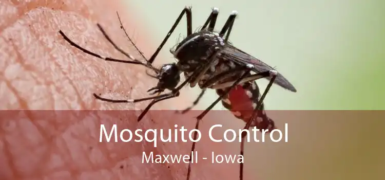 Mosquito Control Maxwell - Iowa
