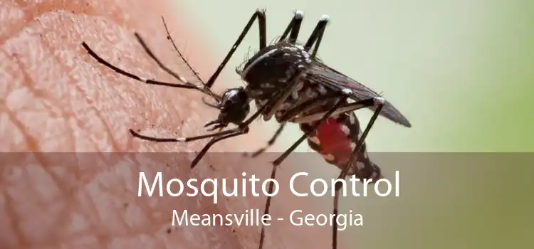 Mosquito Control Meansville - Georgia