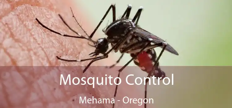 Mosquito Control Mehama - Oregon