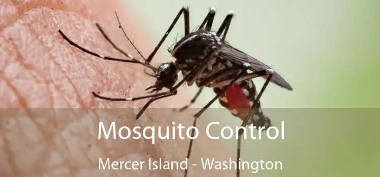 Mosquito Control Mercer Island - Washington