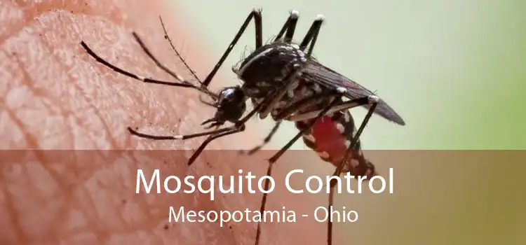Mosquito Control Mesopotamia - Ohio