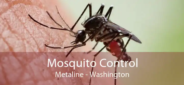 Mosquito Control Metaline - Washington