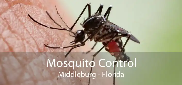 Mosquito Control Middleburg - Florida